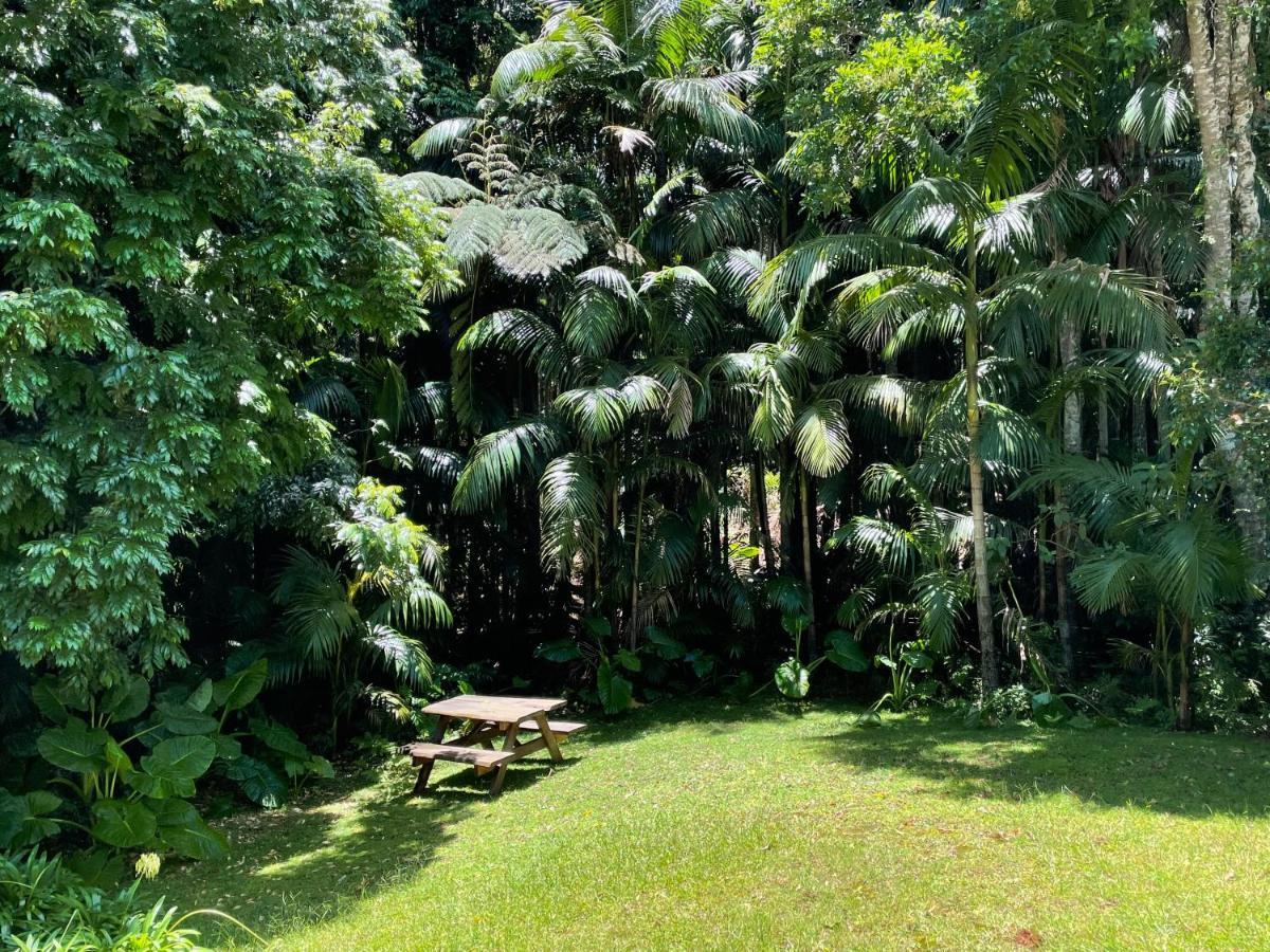 Romantic Cottage, Tamborine Mountain Εξωτερικό φωτογραφία