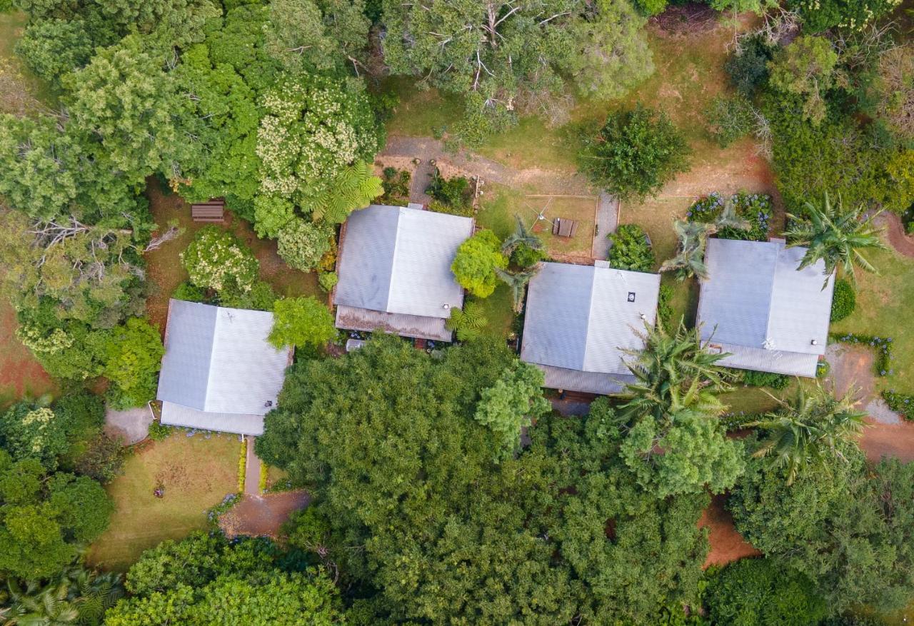 Romantic Cottage, Tamborine Mountain Εξωτερικό φωτογραφία