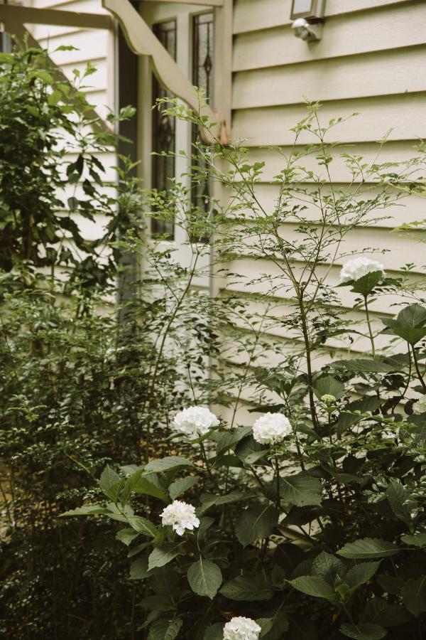 Romantic Cottage, Tamborine Mountain Εξωτερικό φωτογραφία
